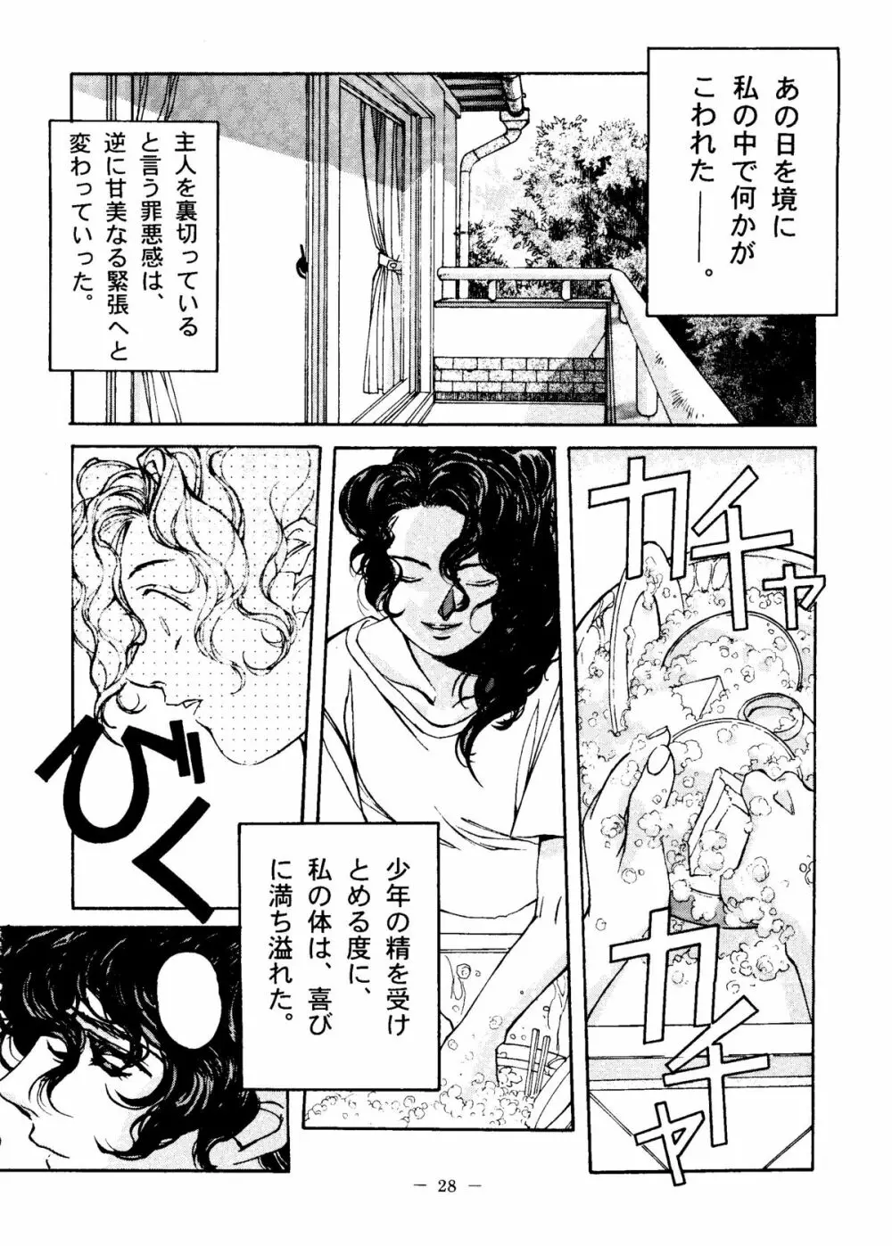 大人の童話 Vol.6 27ページ