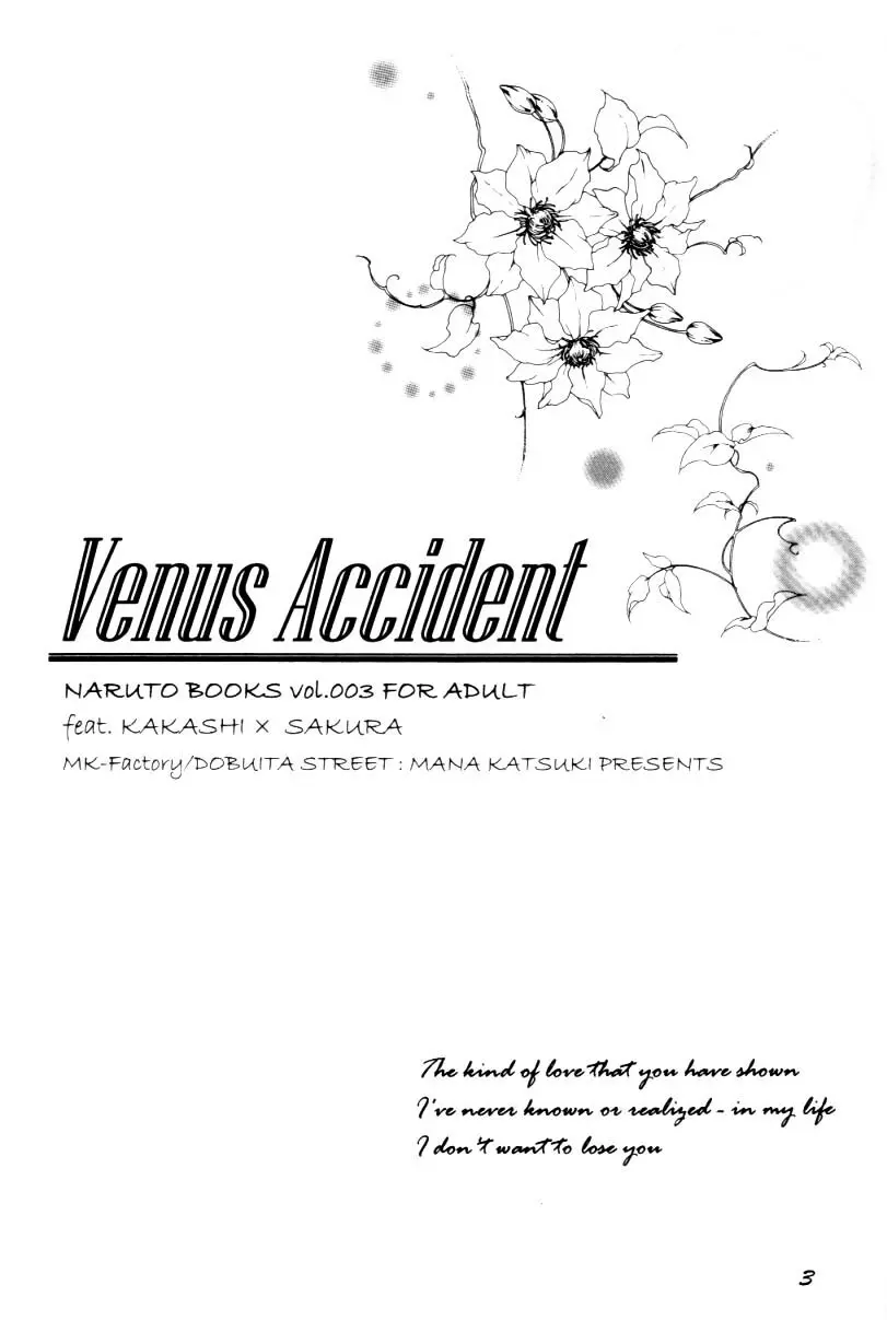 Venus Accident 3ページ