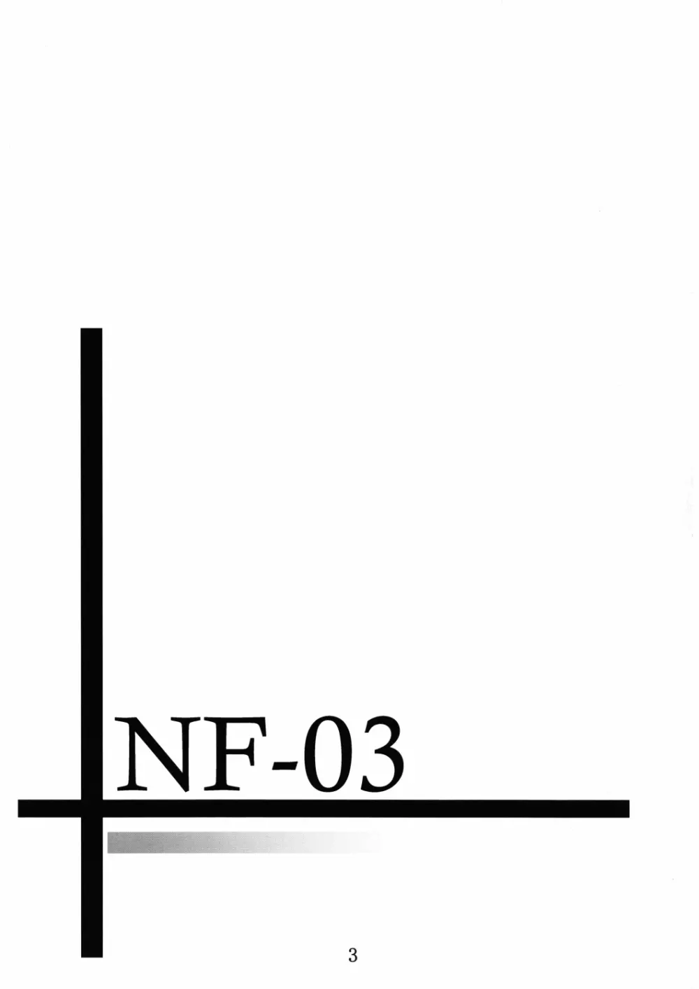 NF-03 2ページ