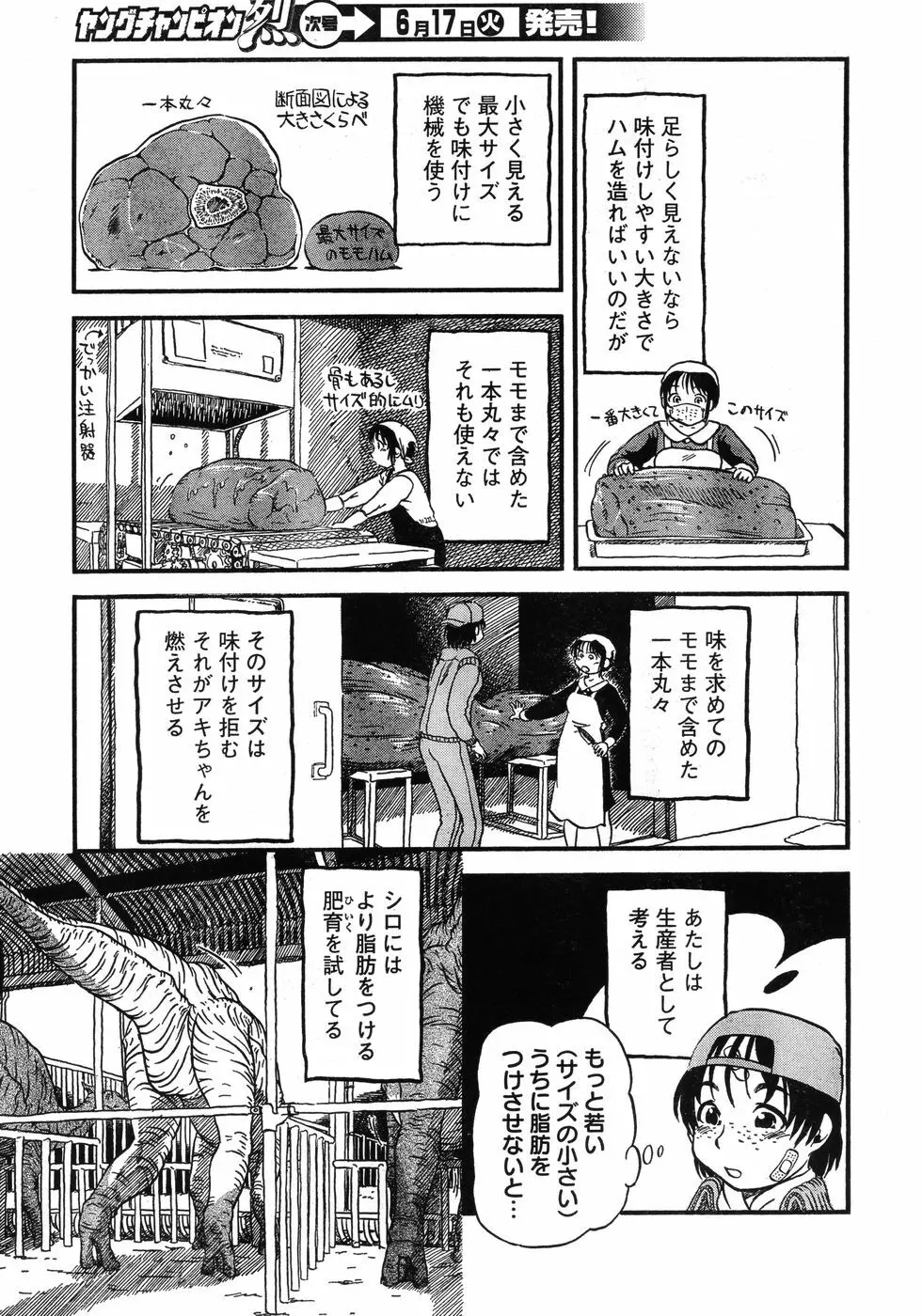 ヤングチャンピオン烈 Vol.12 333ページ