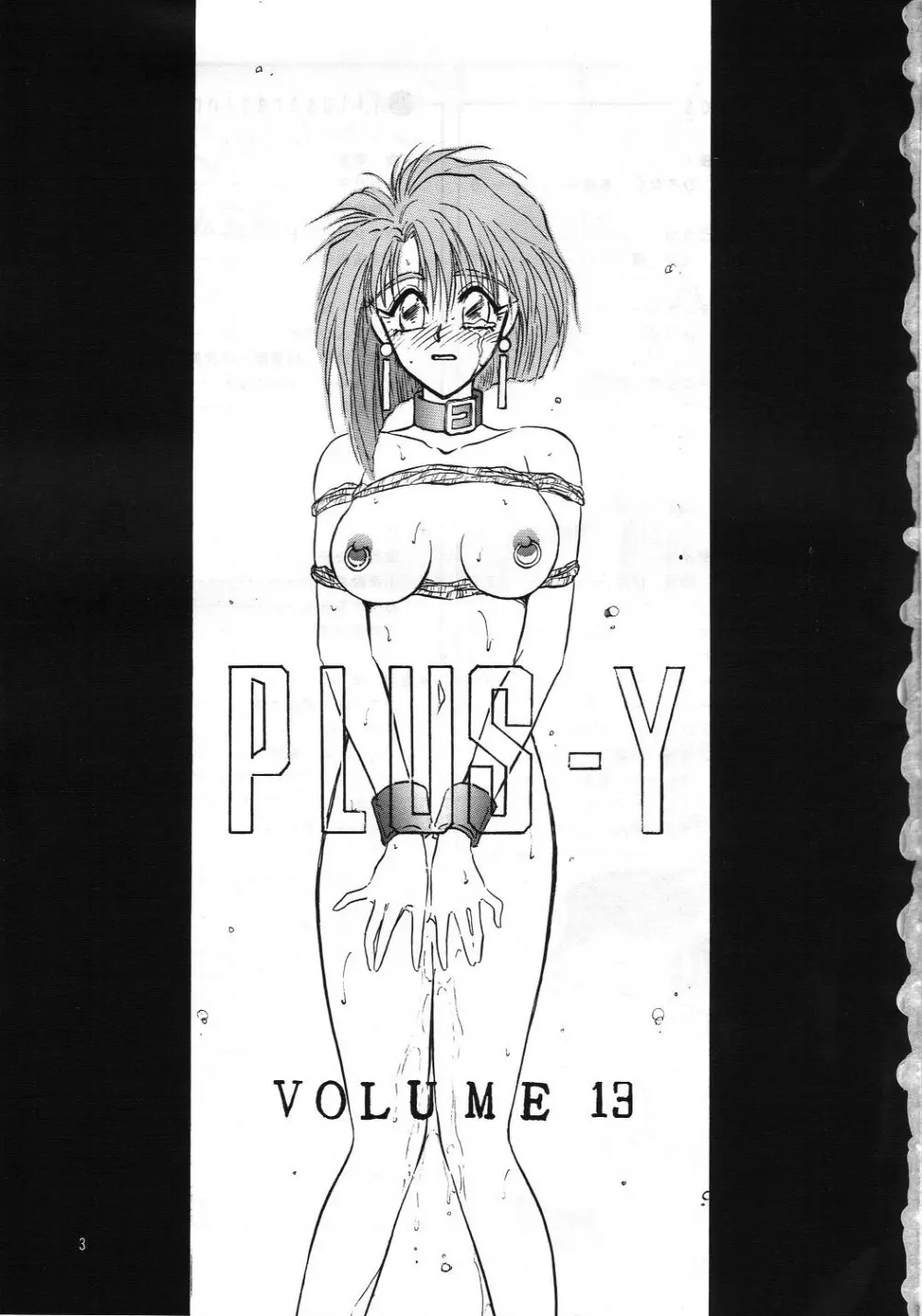 PLUS-Y Vol.13 2ページ