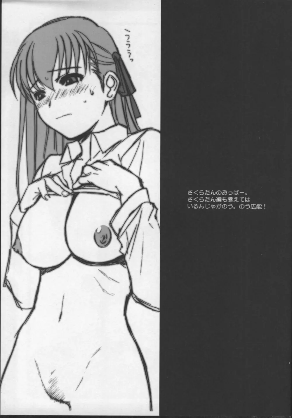 Fate/試製四式同人 12ページ