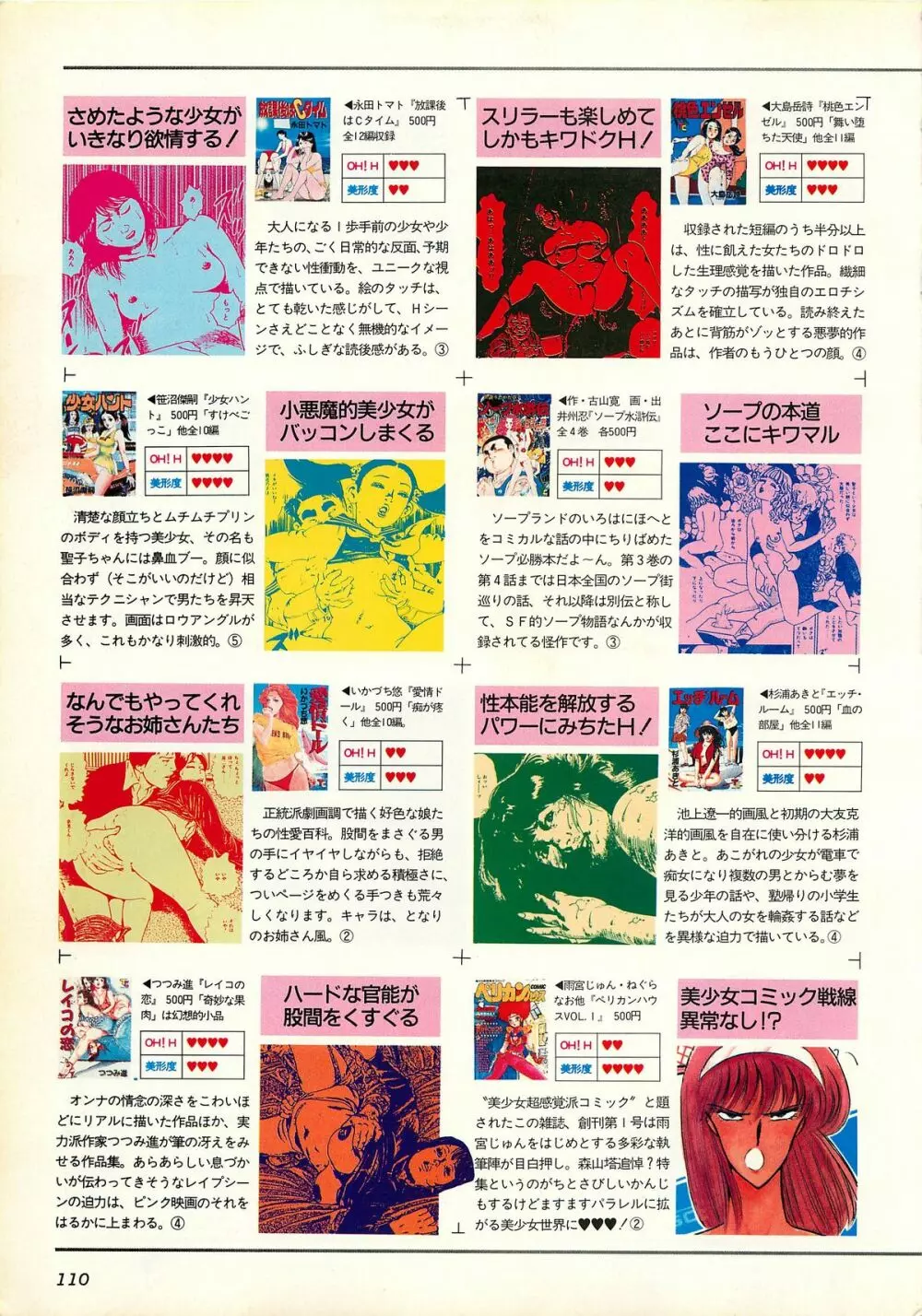 コンプティーク増刊号 ちょっとＨな福袋 110ページ