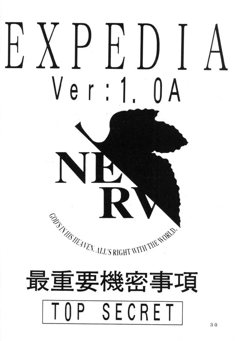 Expedia Ver 1.0A 29ページ