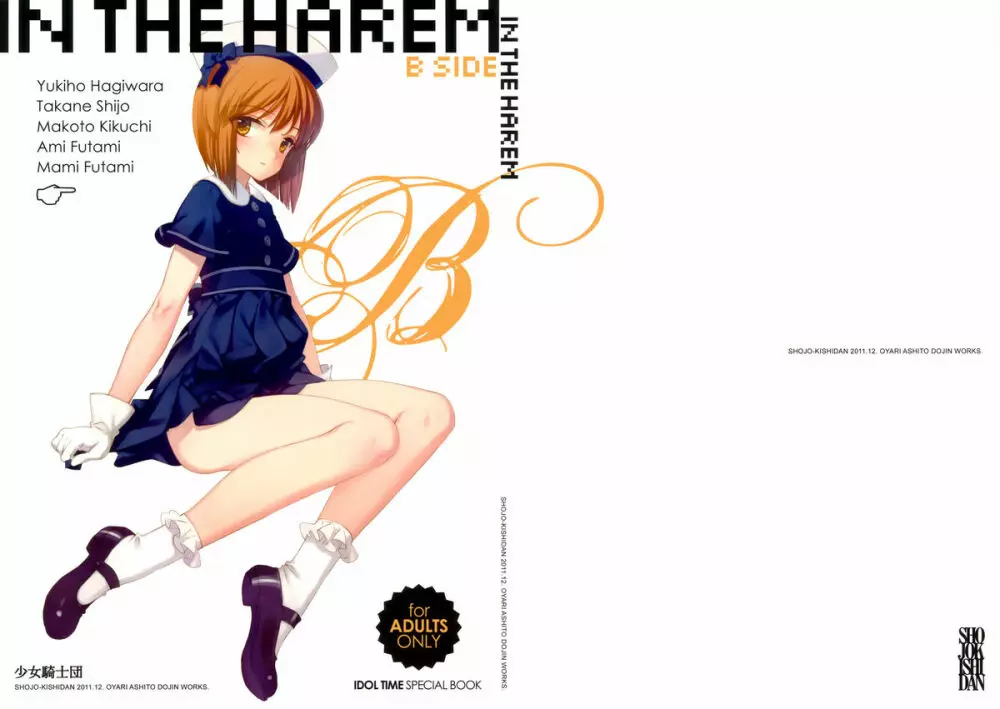 IN THE HAREM B SIDE 1ページ