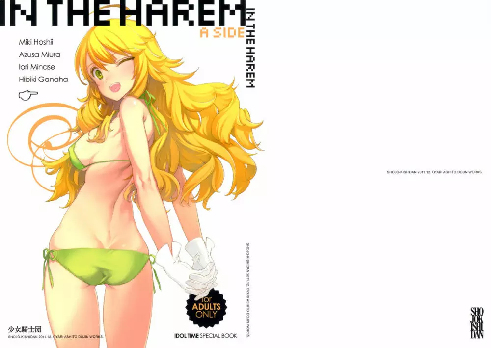 IN THE HAREM A SIDE 1ページ