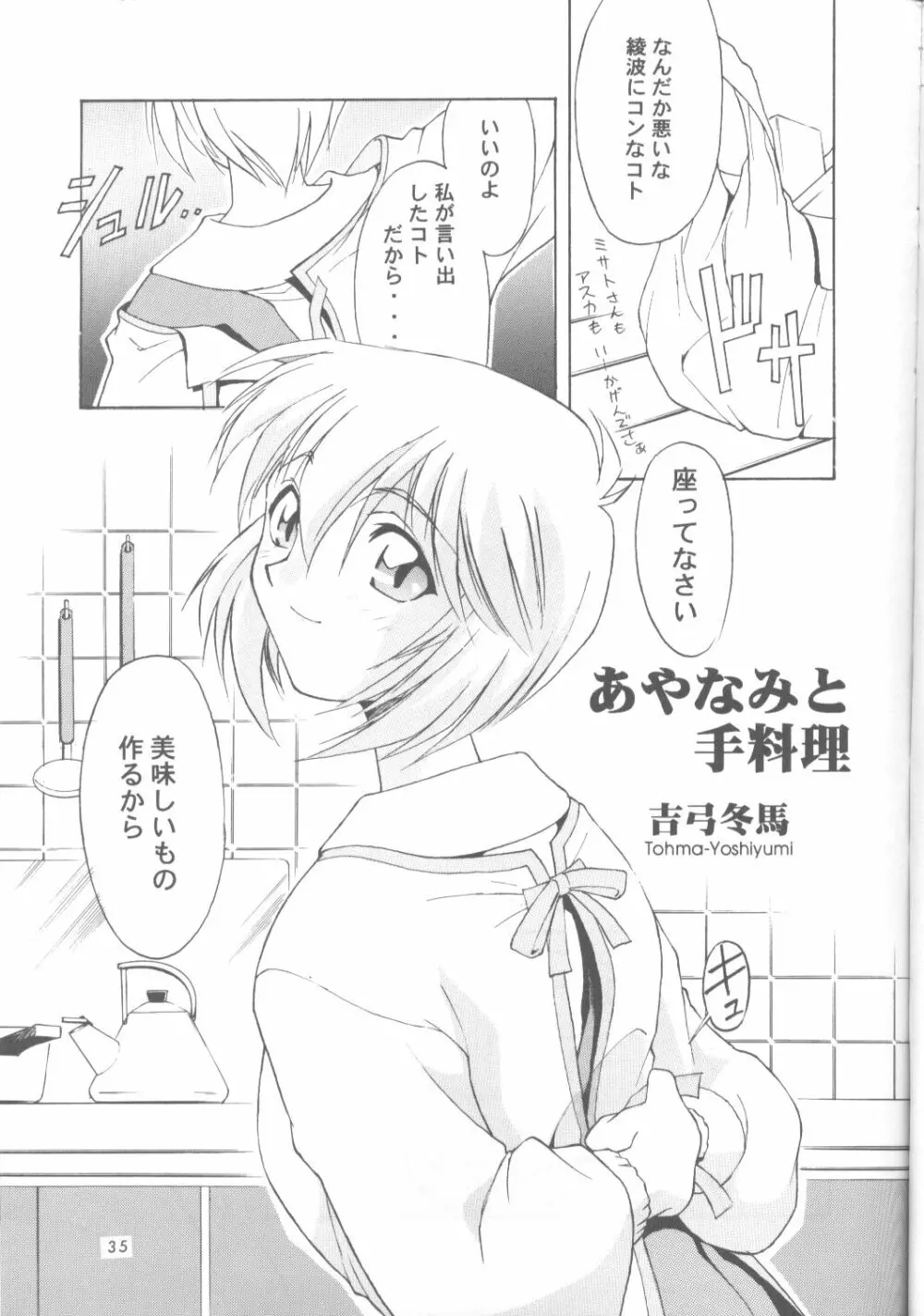 Ayanami Rei-shiki; Neon Genesis Rei-II 34ページ