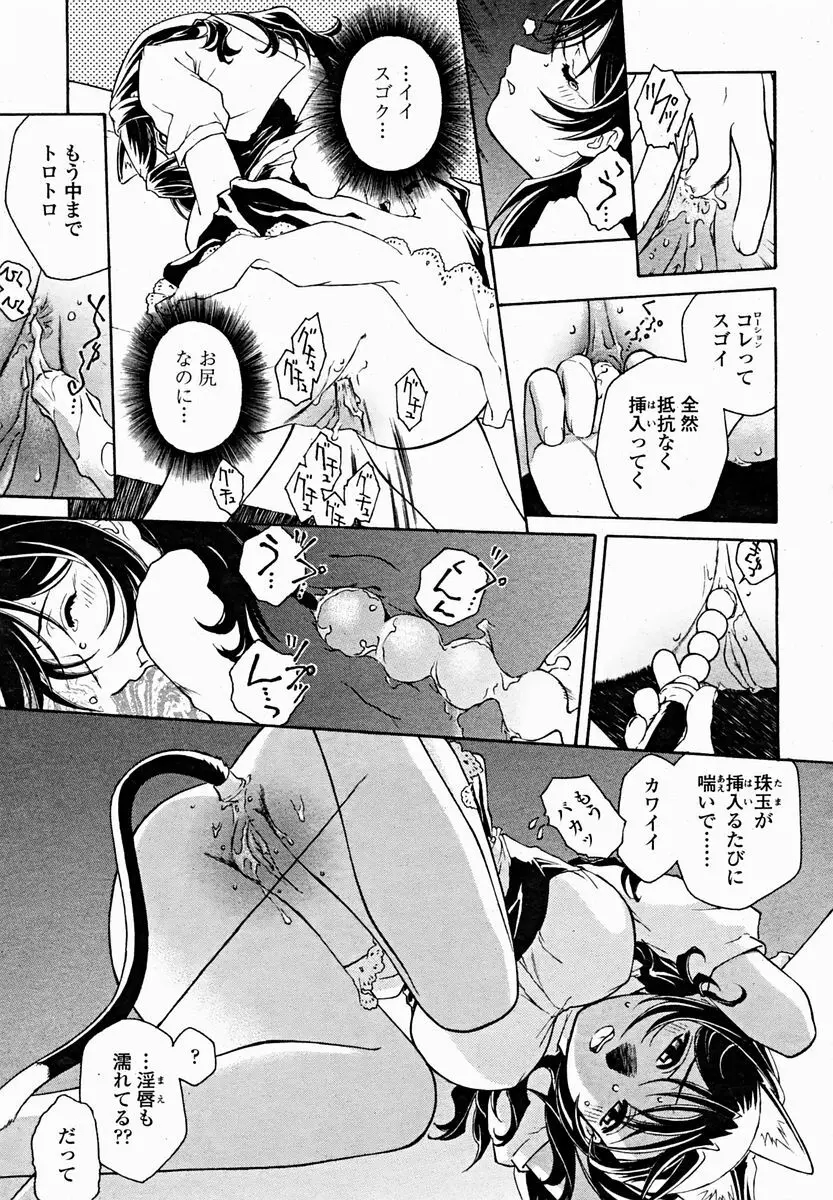 COMIC 桃姫 2004年11月号 219ページ