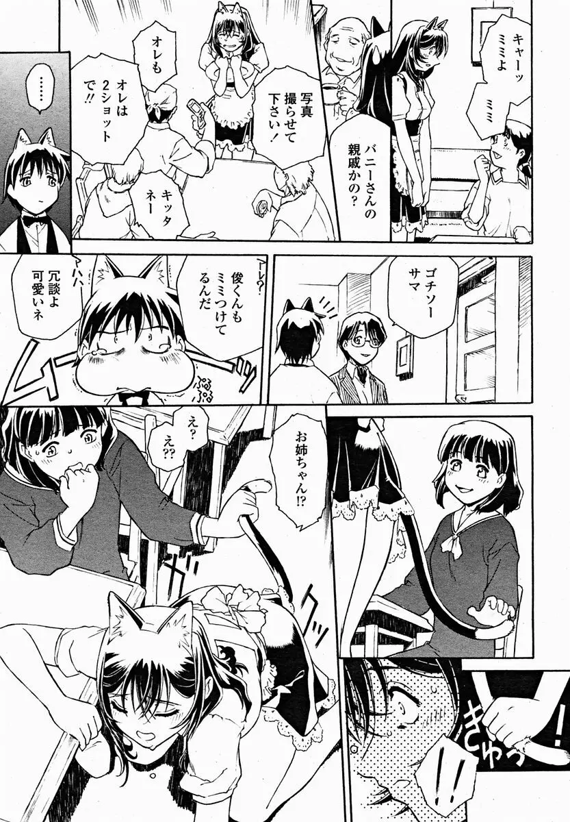 COMIC 桃姫 2004年11月号 221ページ