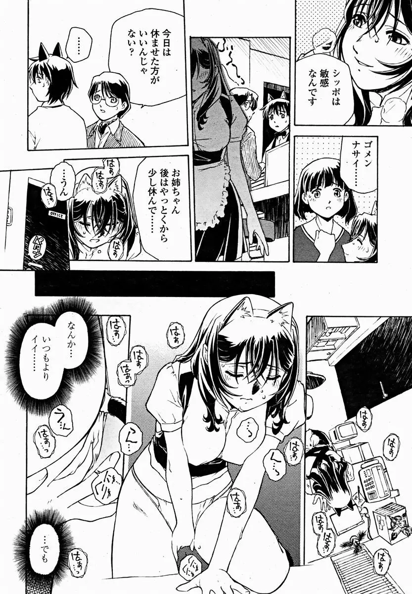 COMIC 桃姫 2004年11月号 222ページ