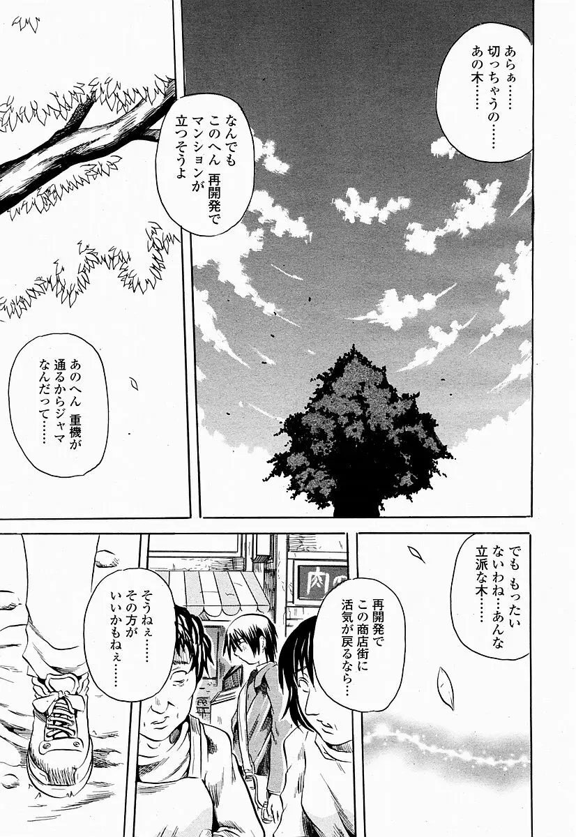 COMIC 桃姫 2004年10月号 443ページ