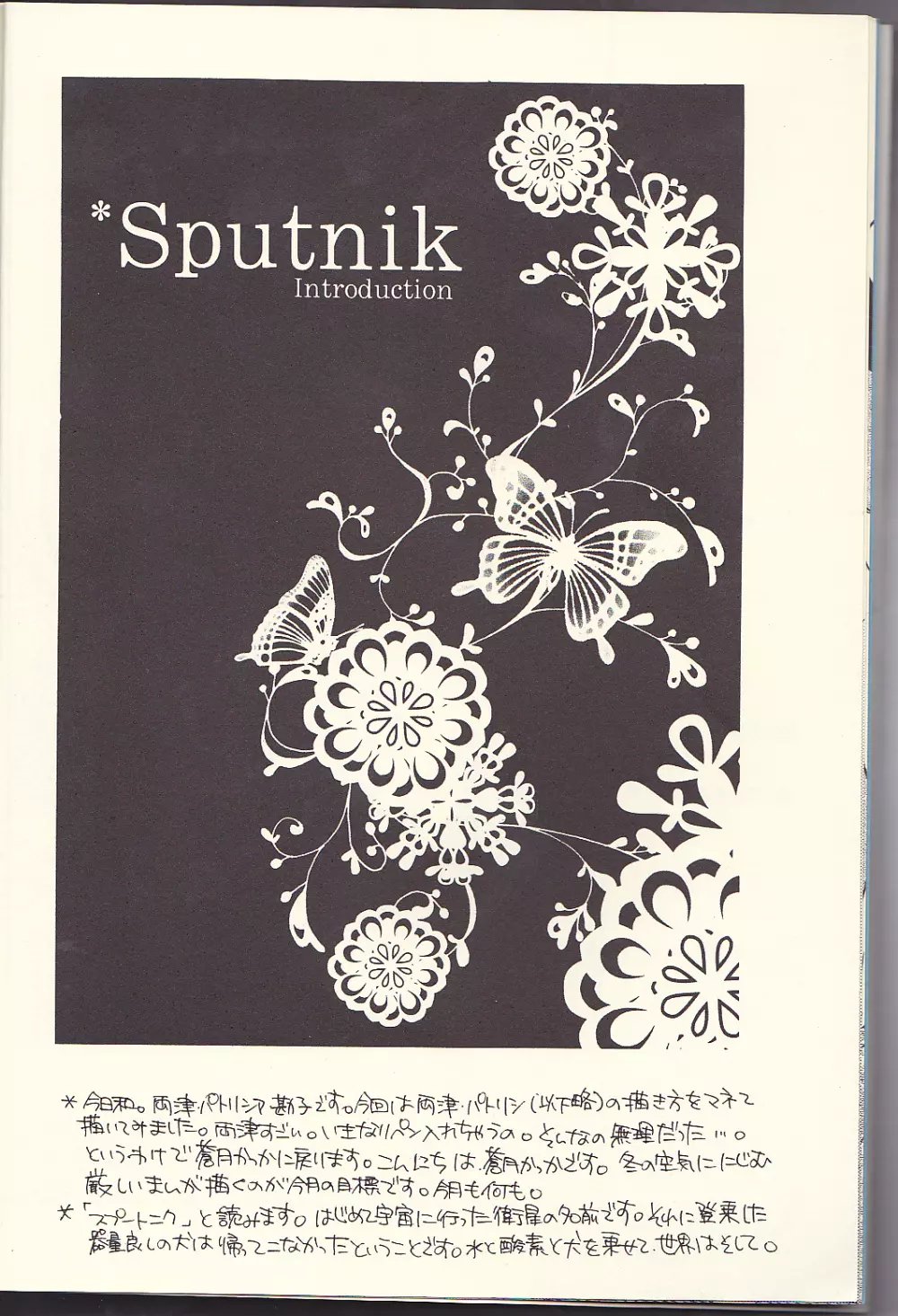 Sputnik Introduction 10ページ