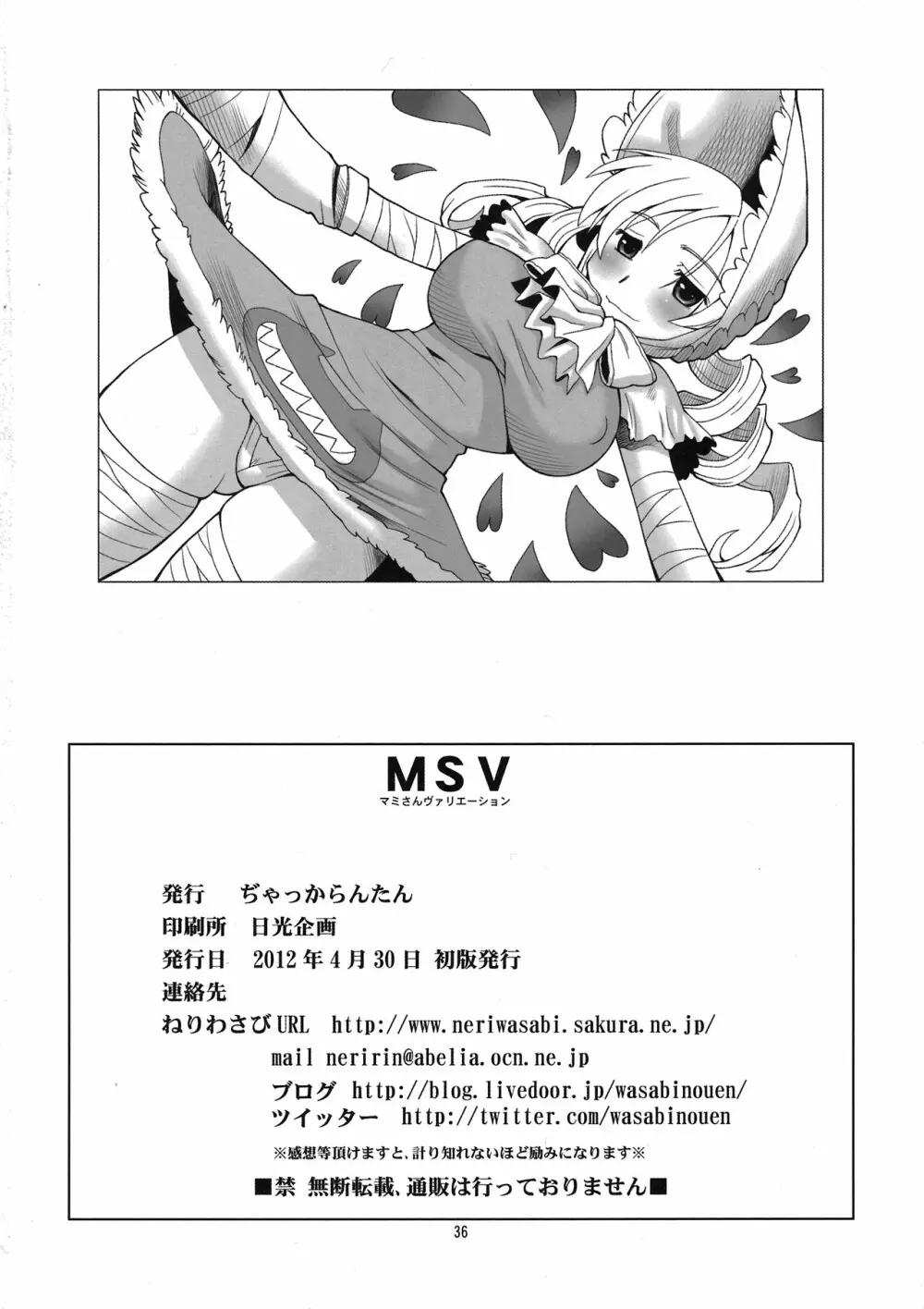 MSV 36ページ