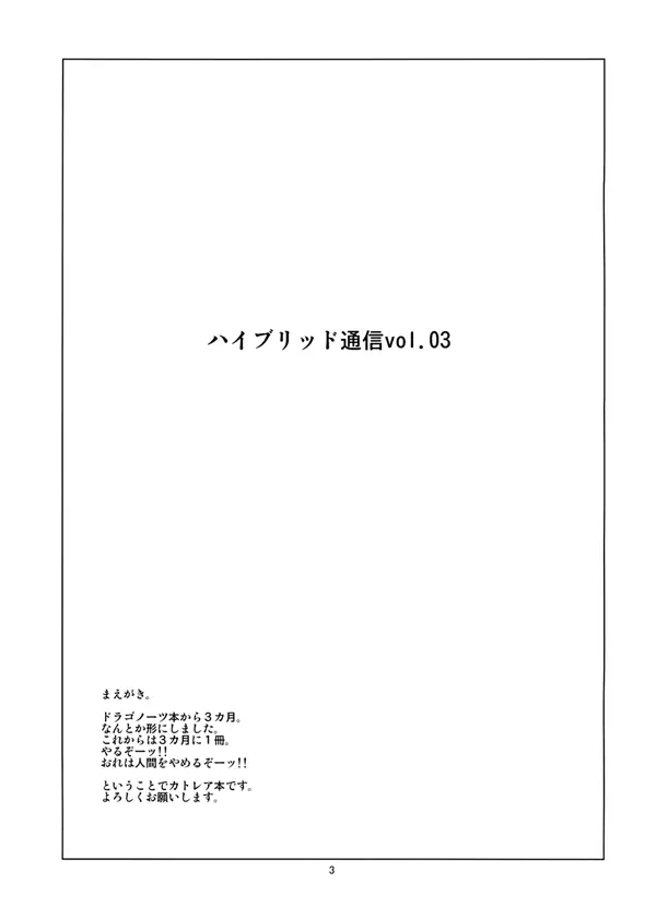 ハイブリッド通信増刊号vol.01 65ページ