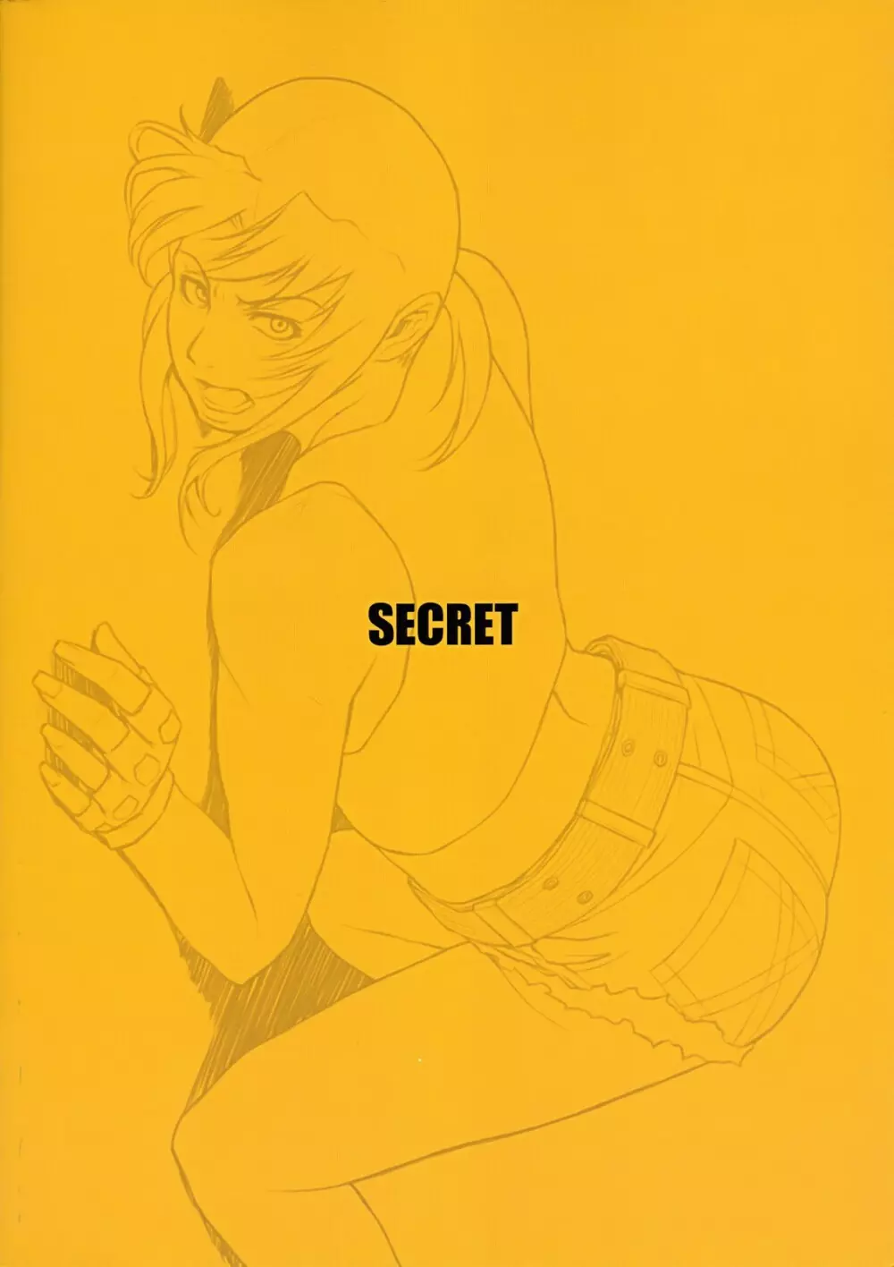 SECRET 37ページ