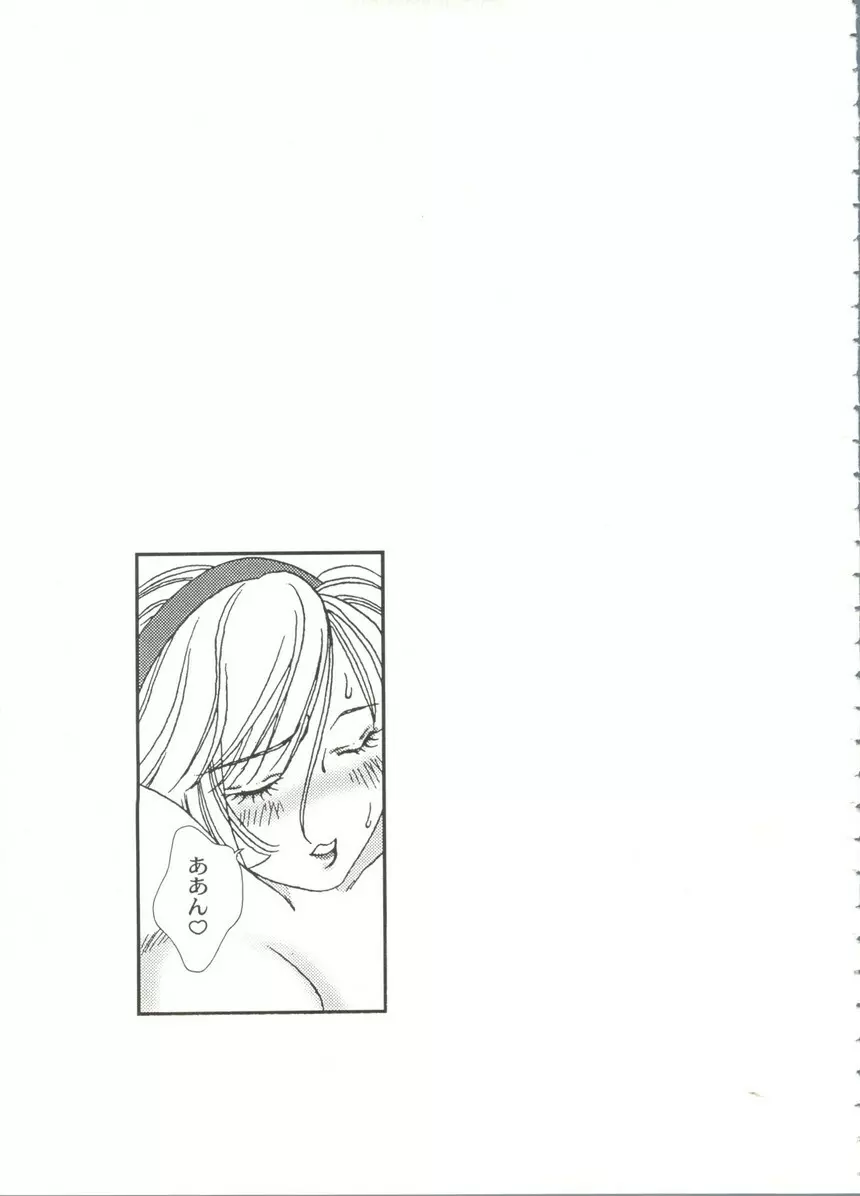 アニパロ美姫14 25ページ
