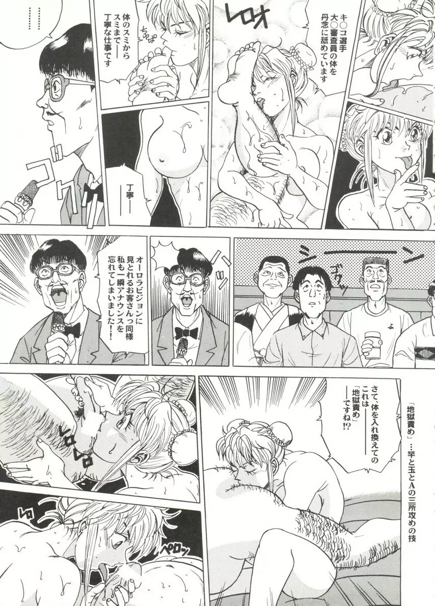 アニパロ美姫14 53ページ
