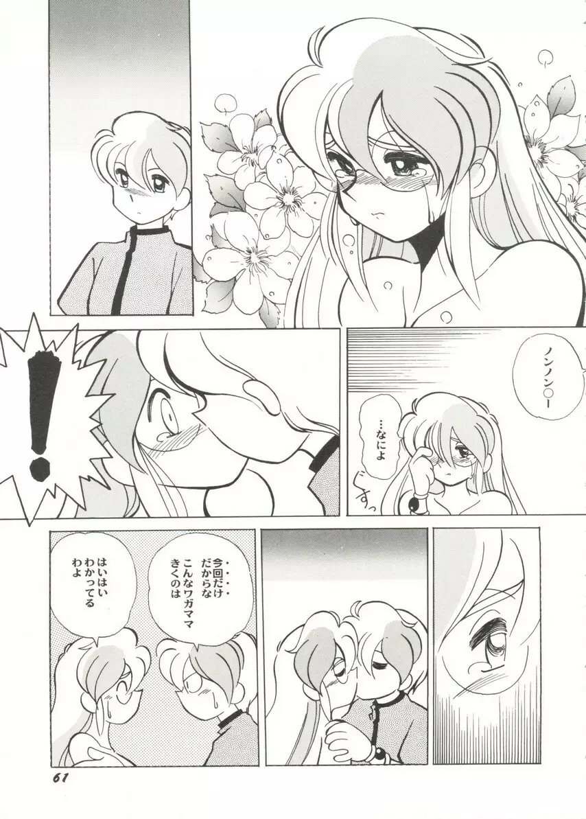 アニパロ美姫14 65ページ