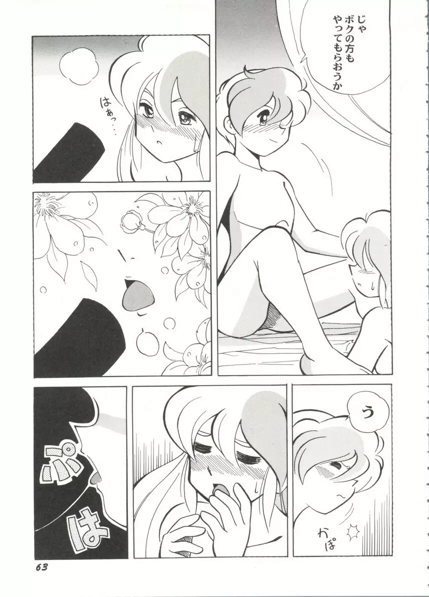 アニパロ美姫14 67ページ