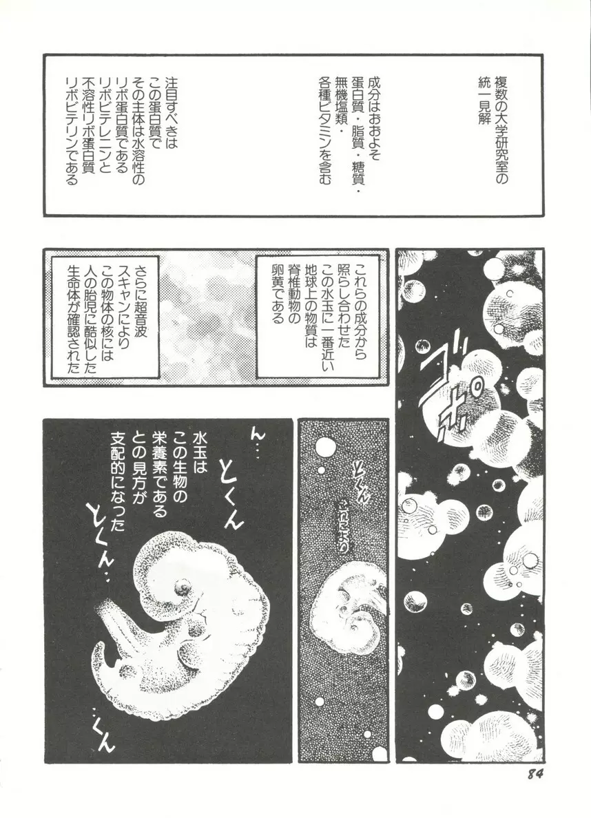 アニパロ美姫14 88ページ
