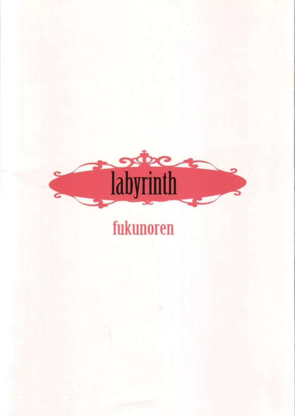 labyrinth 18ページ