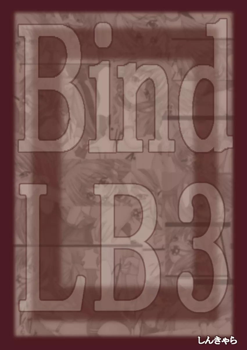 Bind LB3 31ページ