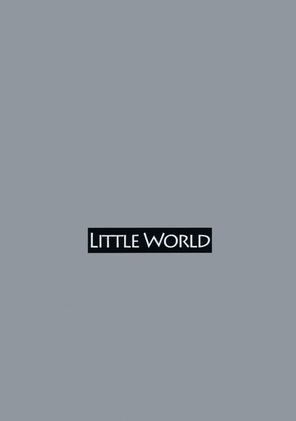 LITTLE WORLD 22ページ