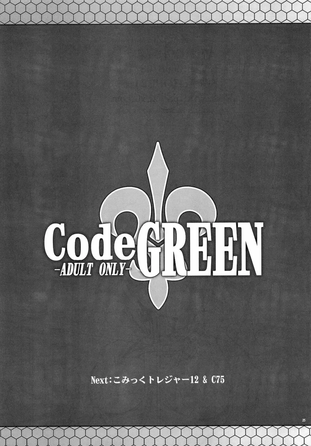 CodeGREEN 24ページ