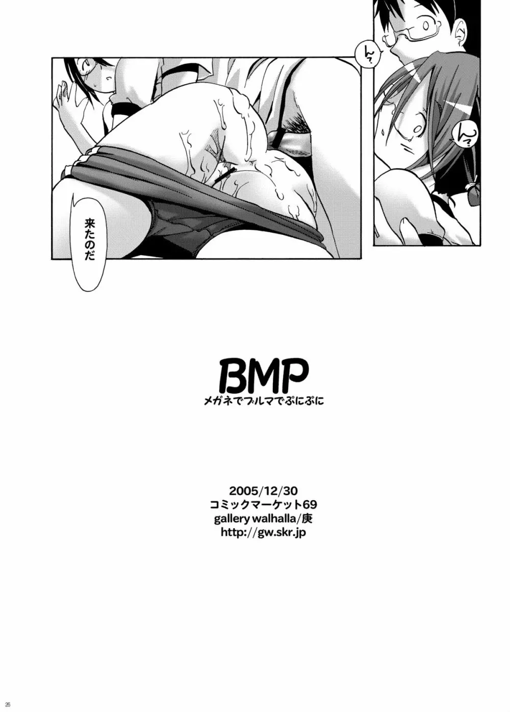 BMP 24ページ