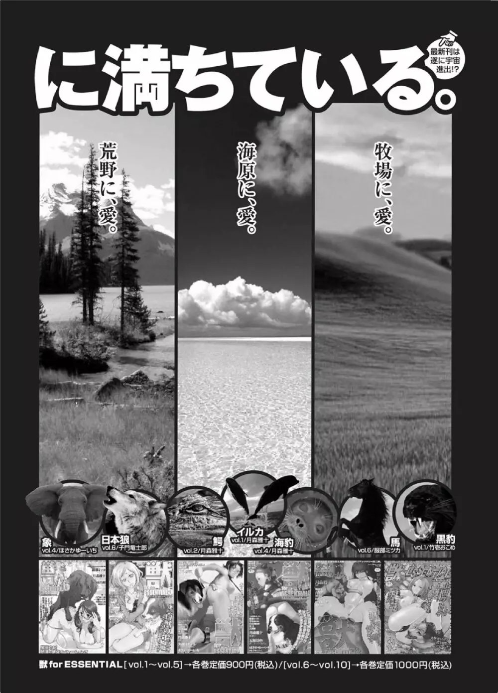 純愛果実 2010年09月号 Vol.30 128ページ