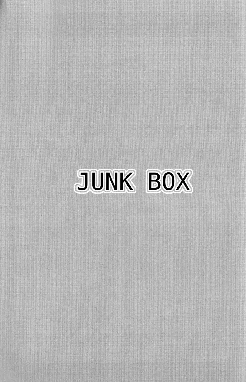 Tsukumo Gou – Junk Box 2010 3ページ