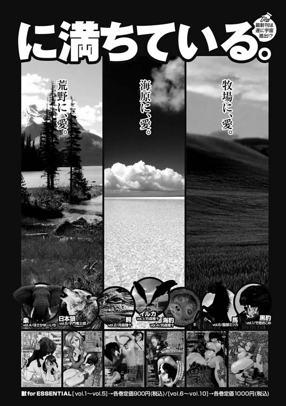 美少女革命 極 Road 2012-08 Vol.2 186ページ