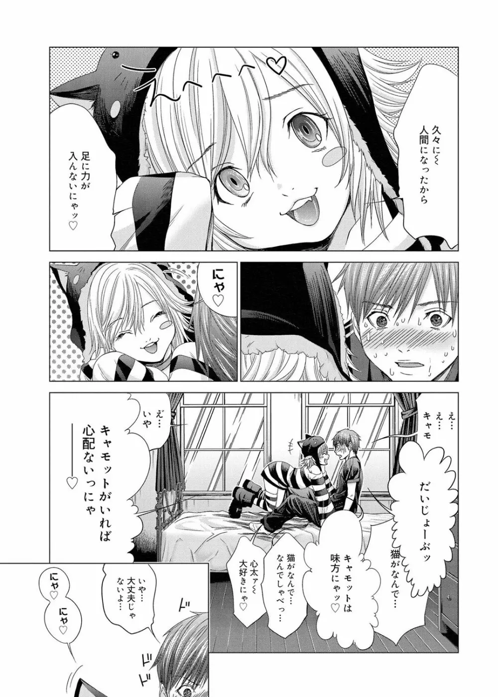 キャノプリcomic 2011年11月号 Vol.13 242ページ