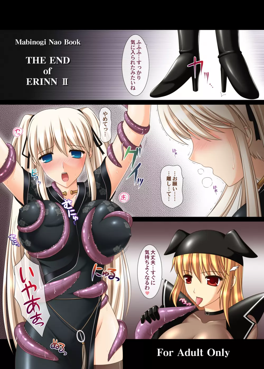 THE END of ERINN II 1ページ