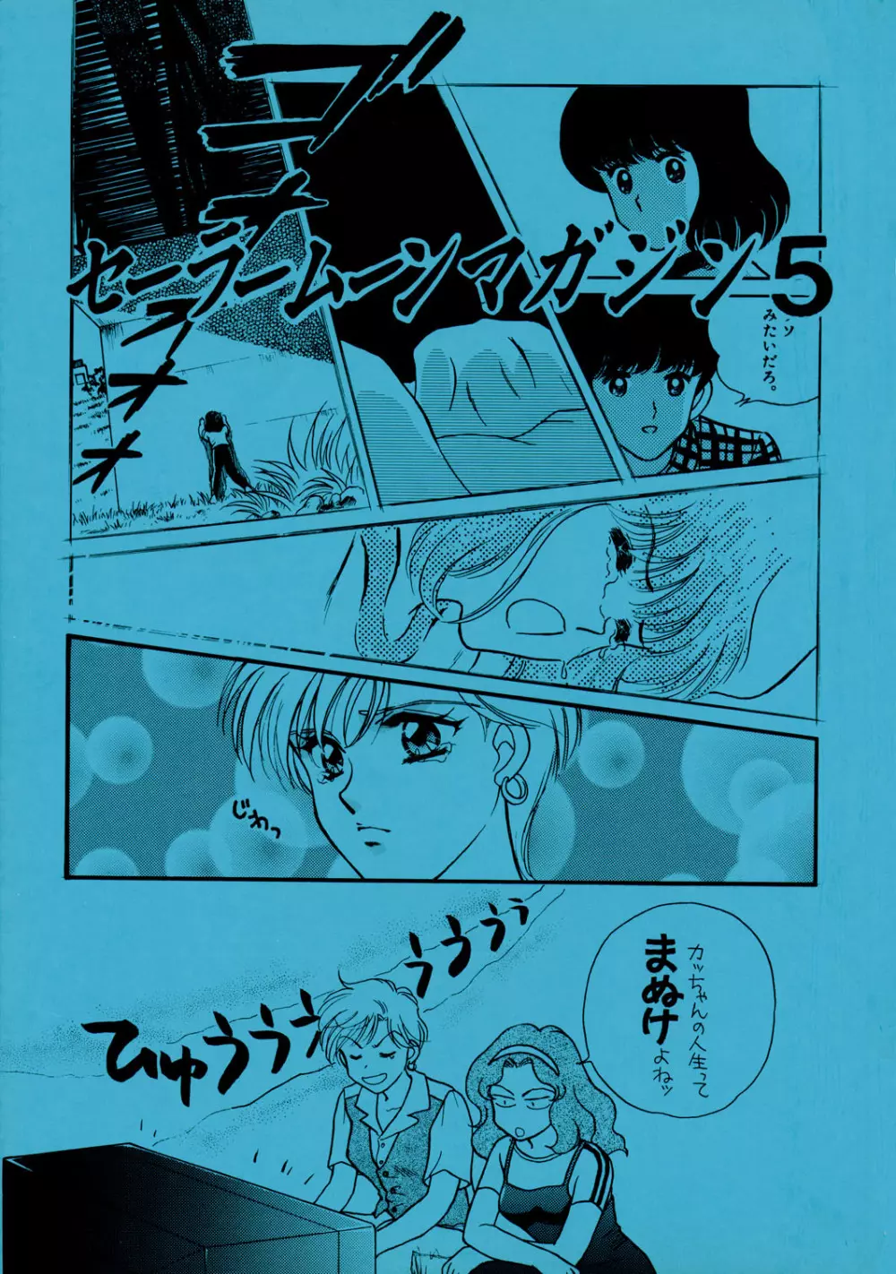 Sailor Moon JodanJanaiyo 114ページ