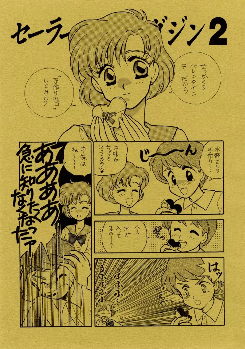 Sailor Moon JodanJanaiyo 30ページ