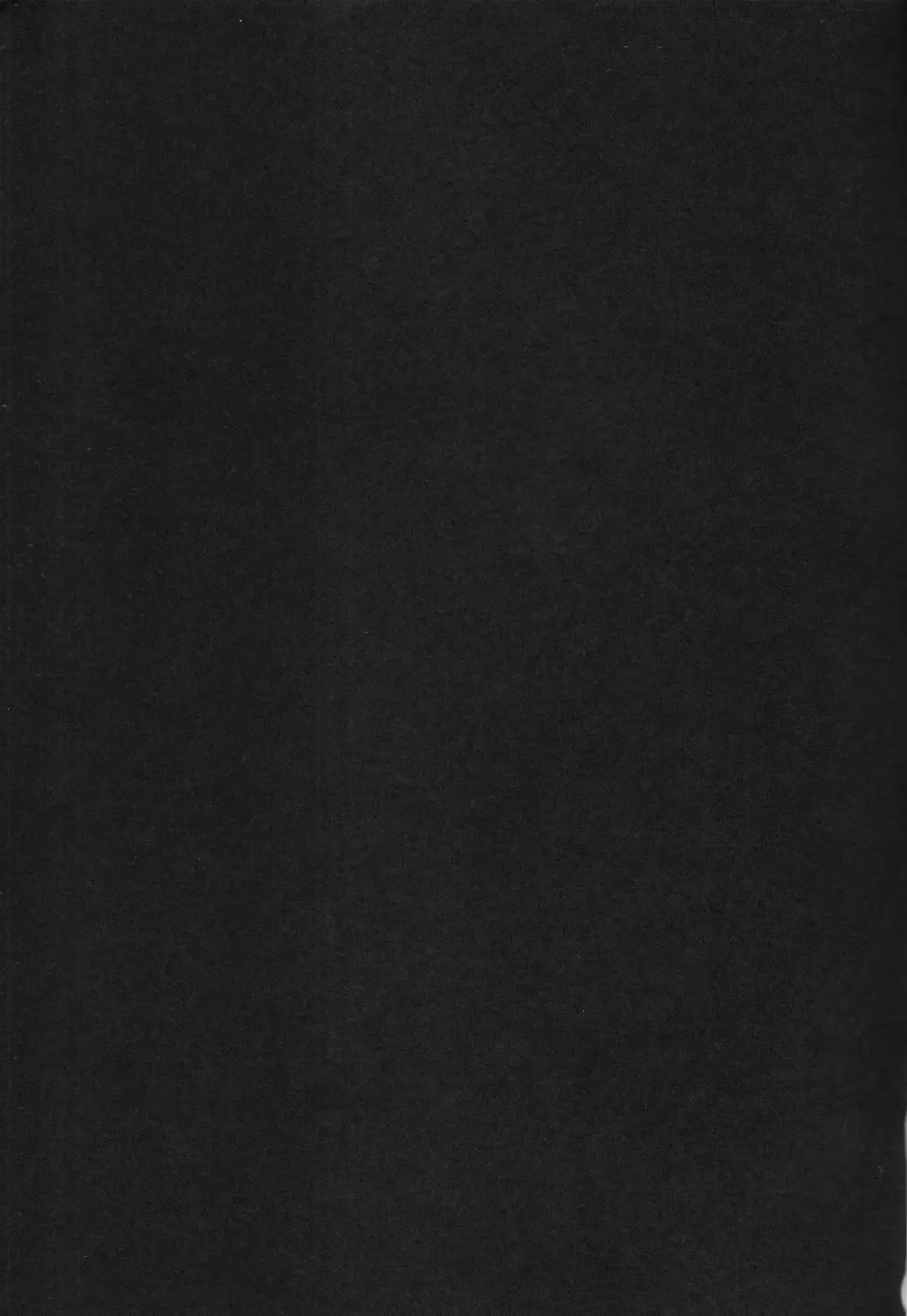 Black cat at night 2ページ