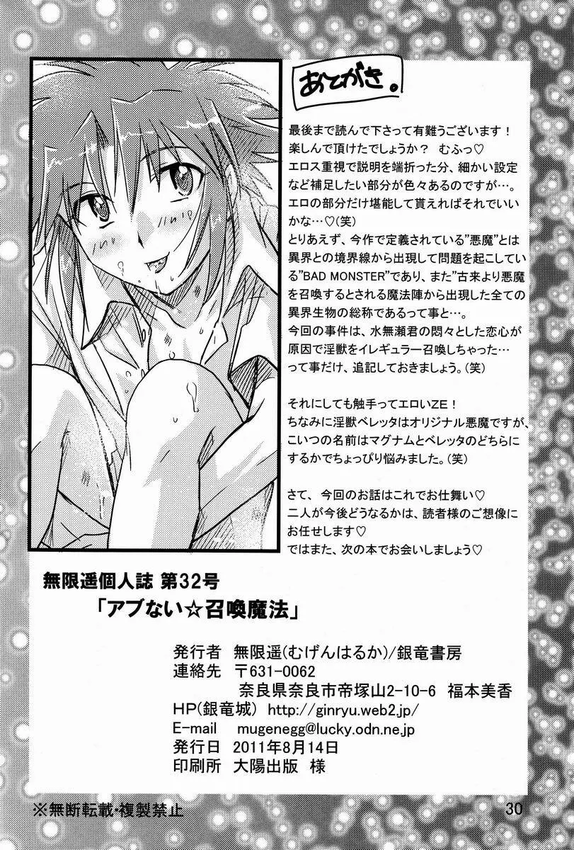 アブない☆召喚魔法 29ページ