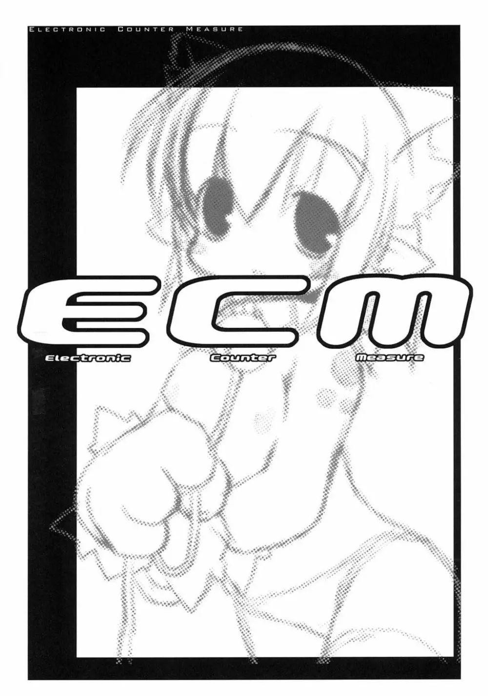 ECM 2ページ