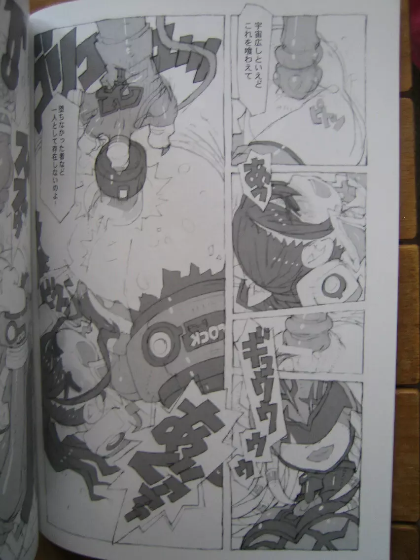 Kaizoku Ojou 5ページ