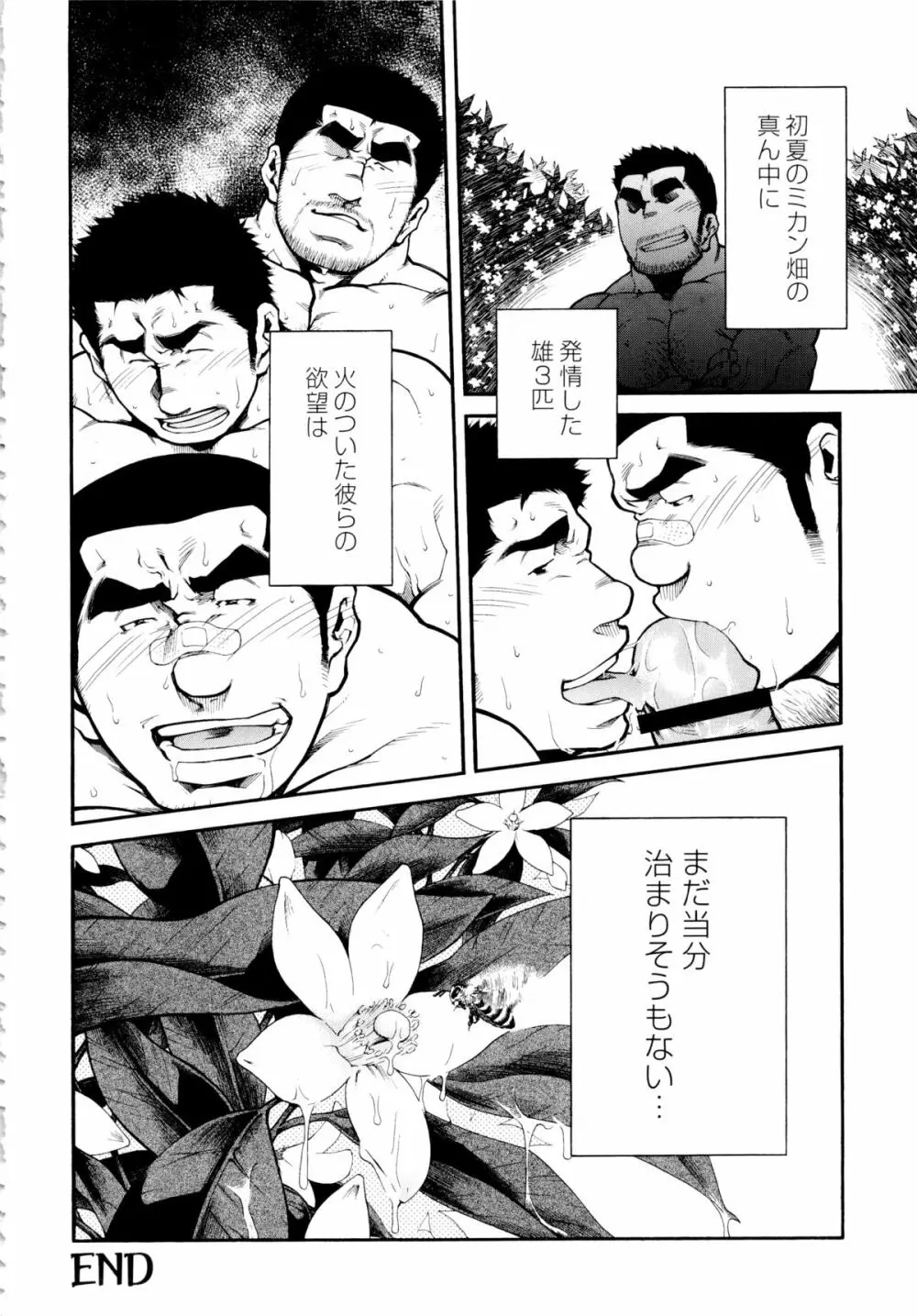Osu Hachi no Mitsu – by -晃次郎 (Terujirou) 24ページ