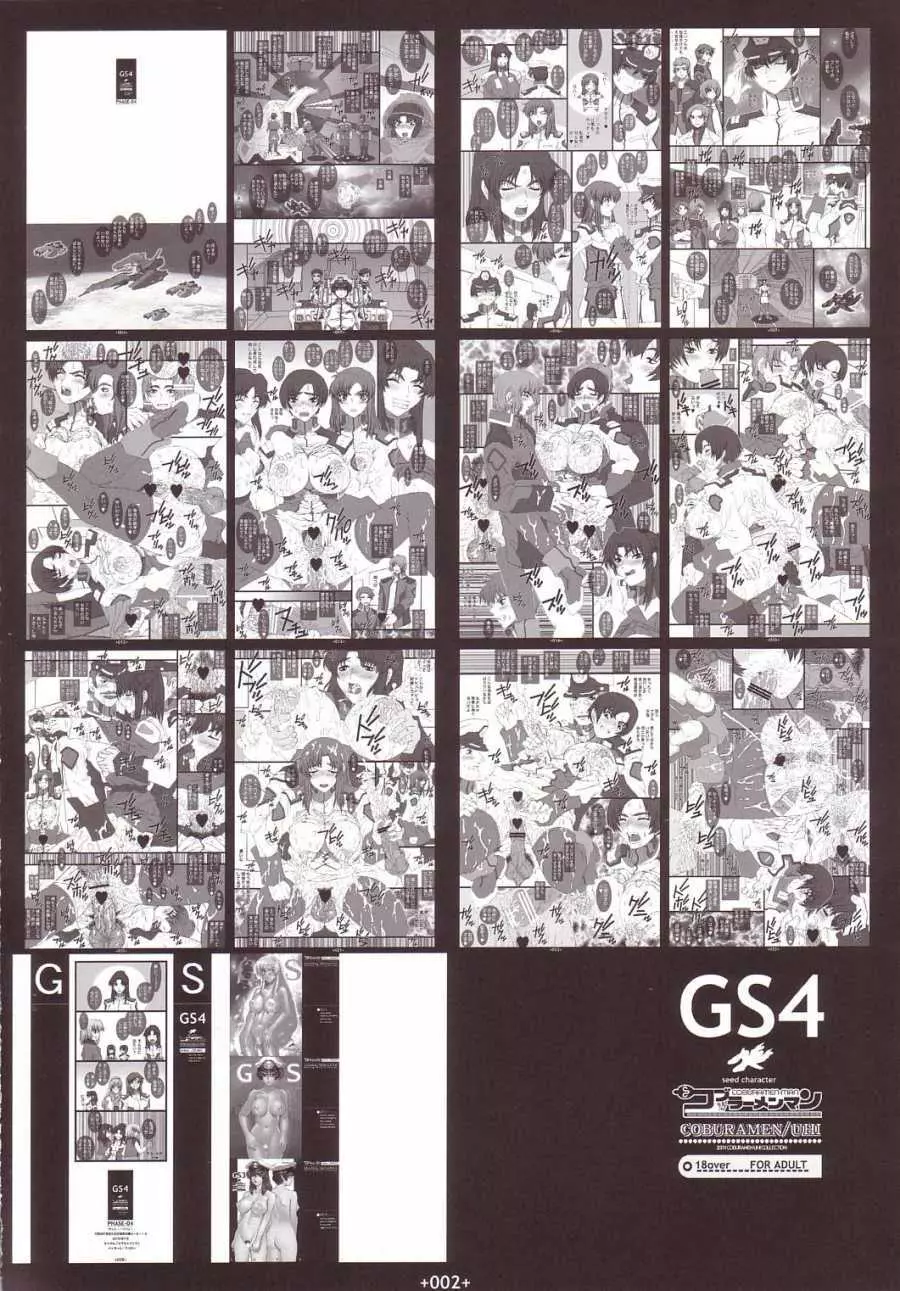 GS5 3ページ