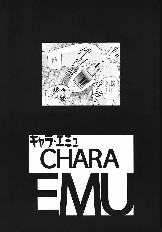 キャラエミュW☆B003 GUNDAM002 Z-ZZ character emulation 2ページ