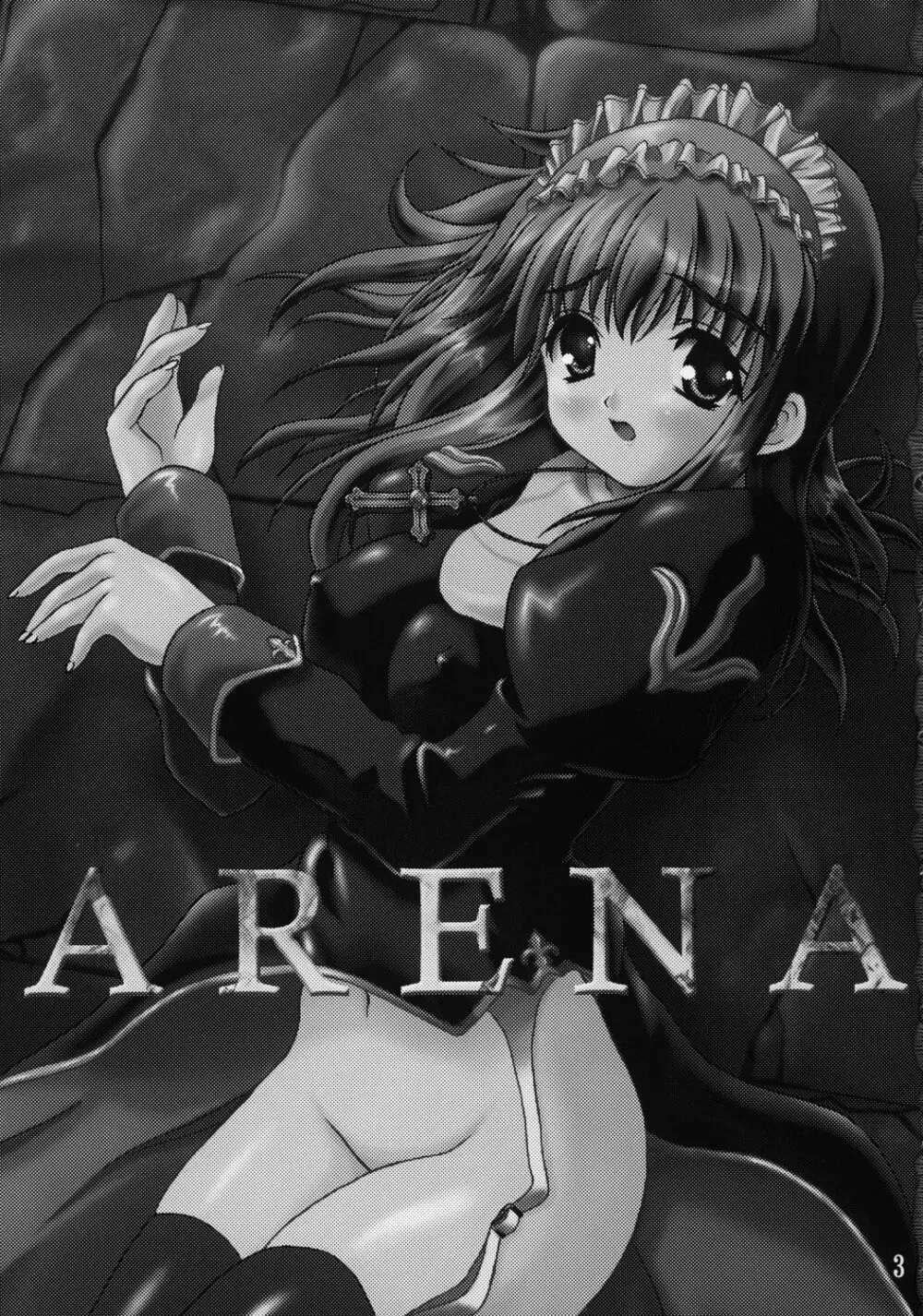 ARENA 2ページ