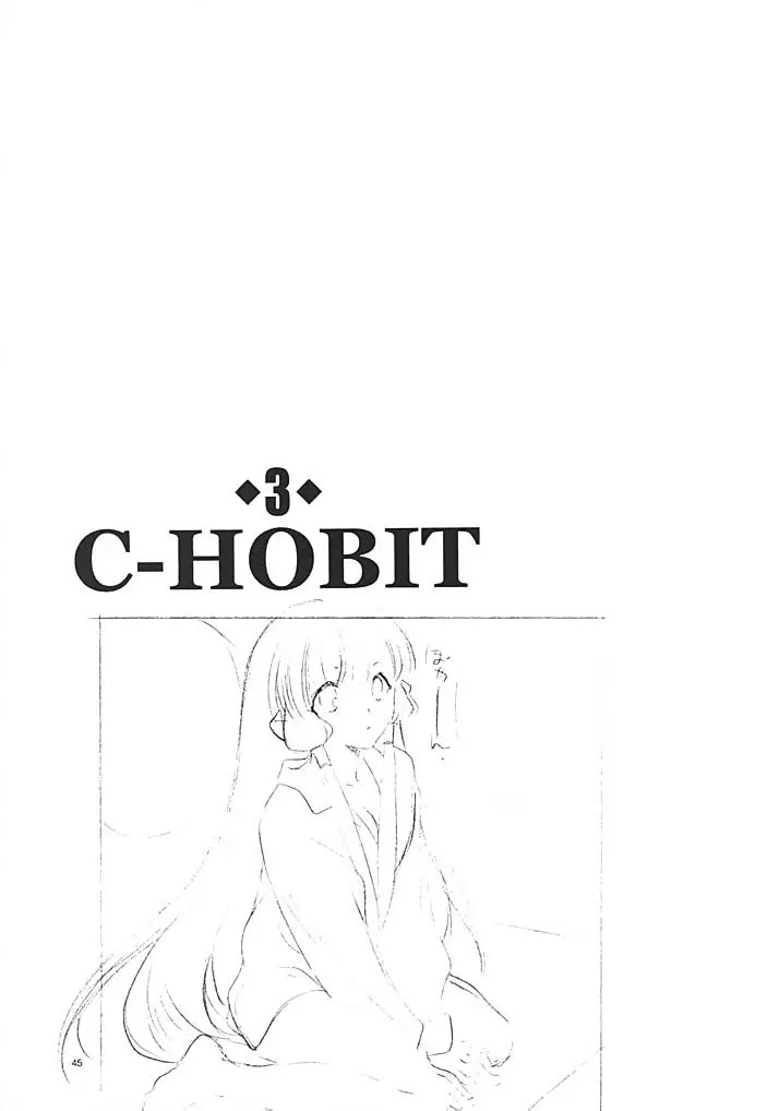 C-HOBIT 3 44ページ