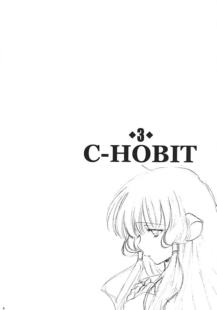 C-HOBIT 3 5ページ