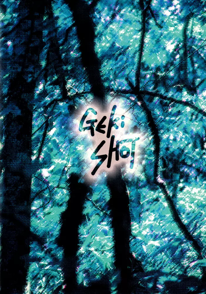 Geki-Shot 2ページ