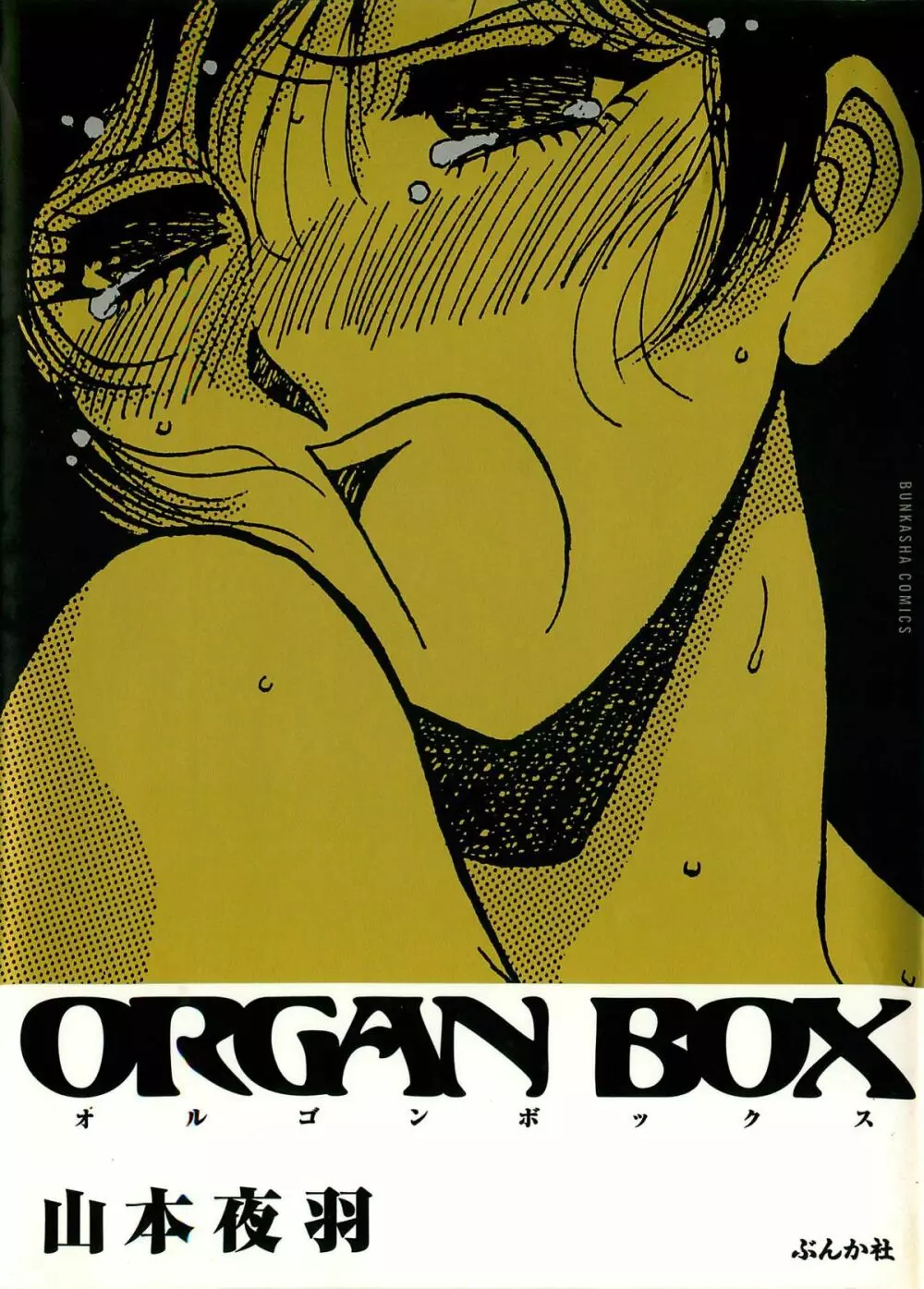 ORGAN-BOX 1ページ