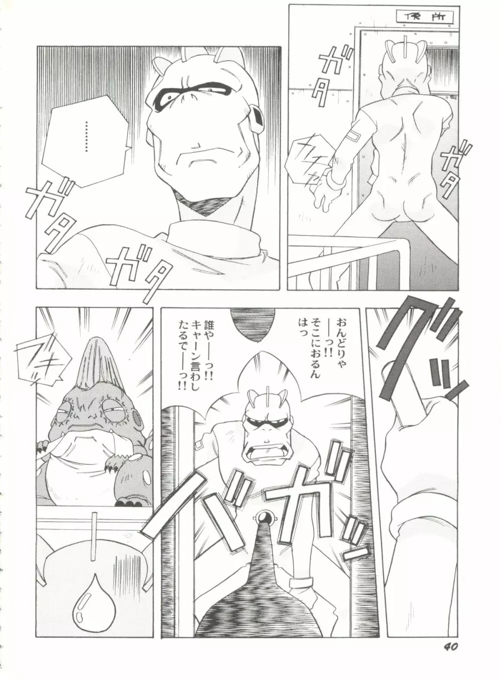 アニパロ美姫12 42ページ