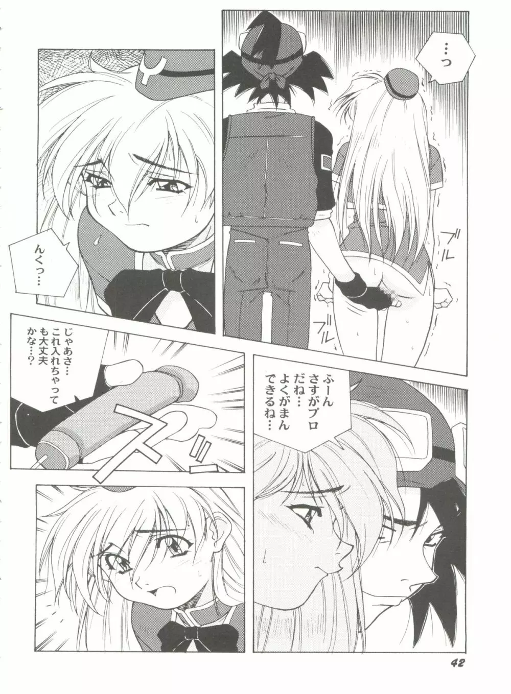 アニパロ美姫12 44ページ